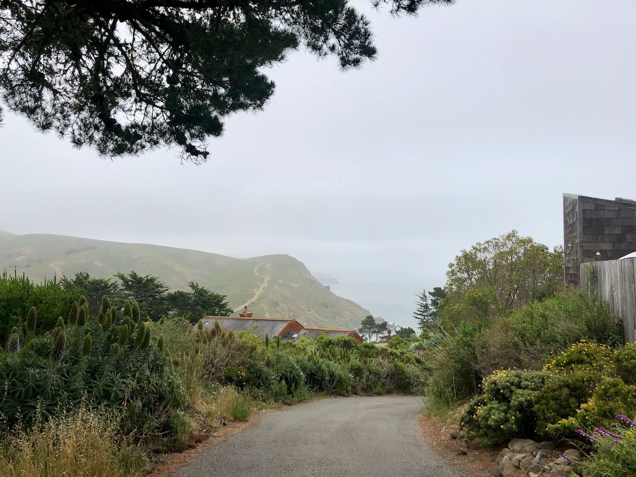 A quiet lane above a foggy coastline